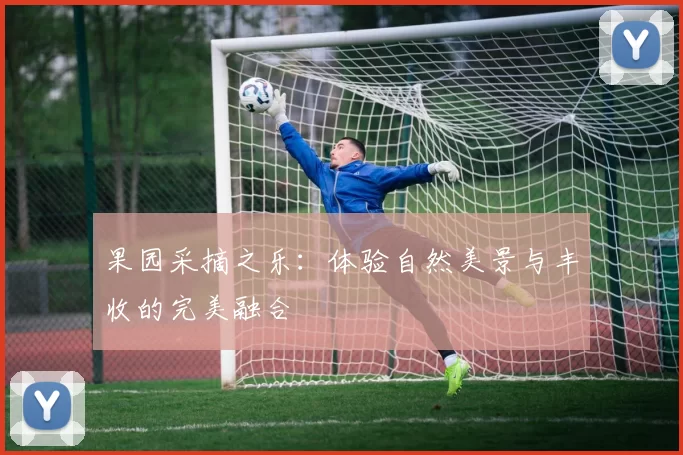 果园采摘之乐：体验自然美景与丰收的完美融合