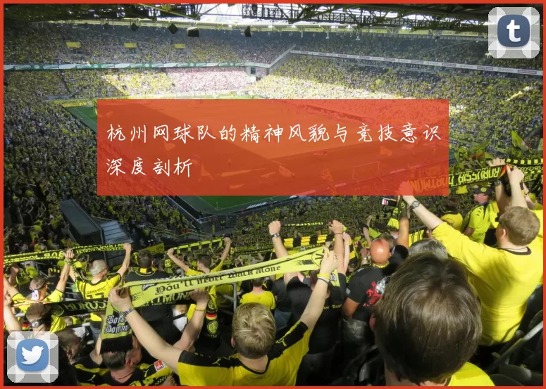 杭州网球队的精神风貌与竞技意识深度剖析