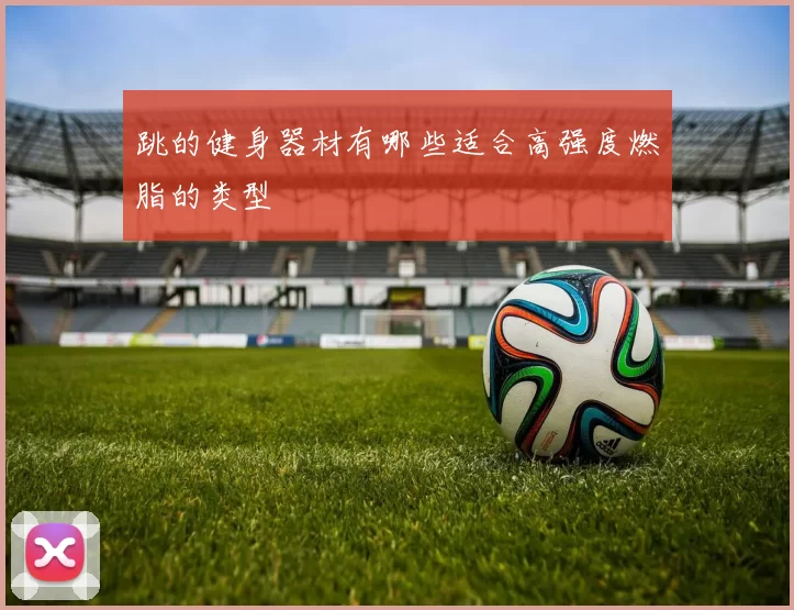 跳的健身器材有哪些适合高强度燃脂的类型