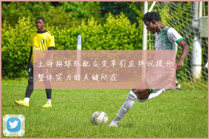 上海排球队配合变革引发热议提升整体实力的关键所在