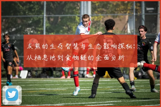 灰熊的生存智慧与生态影响探秘：从栖息地到食物链的全面分析