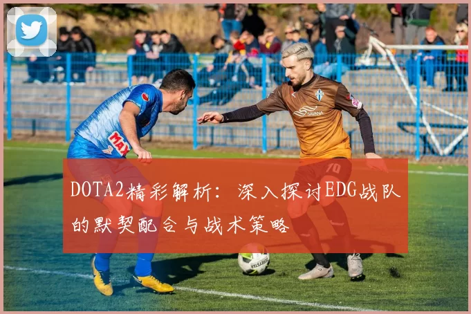 DOTA2精彩解析：深入探讨EDG战队的默契配合与战术策略