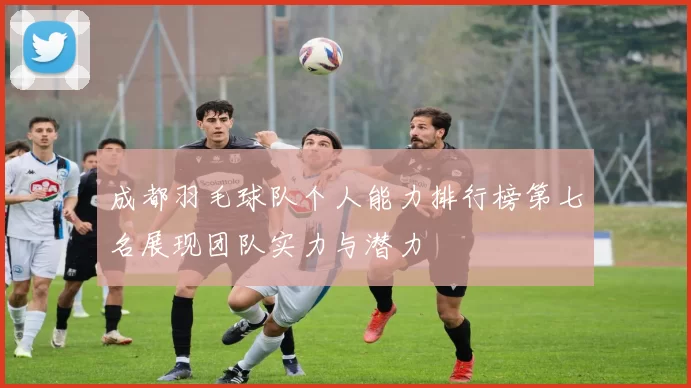 成都羽毛球队个人能力排行榜第七名展现团队实力与潜力