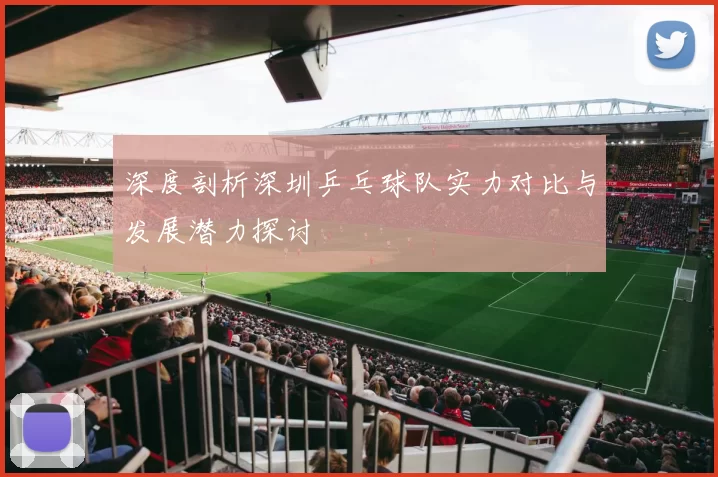 深度剖析深圳乒乓球队实力对比与发展潜力探讨