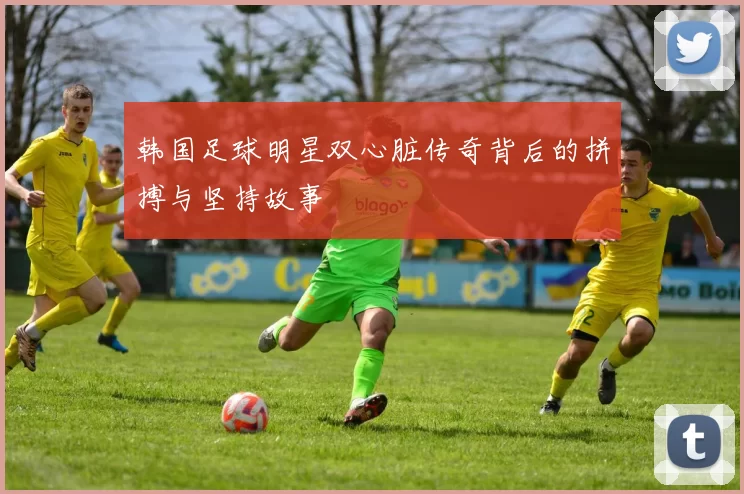 韩国足球明星双心脏传奇背后的拼搏与坚持故事