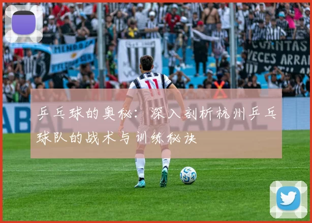 乒乓球的奥秘：深入剖析杭州乒乓球队的战术与训练秘诀