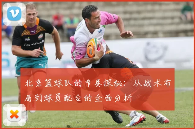 北京篮球队的节奏探秘：从战术布局到球员配合的全面分析