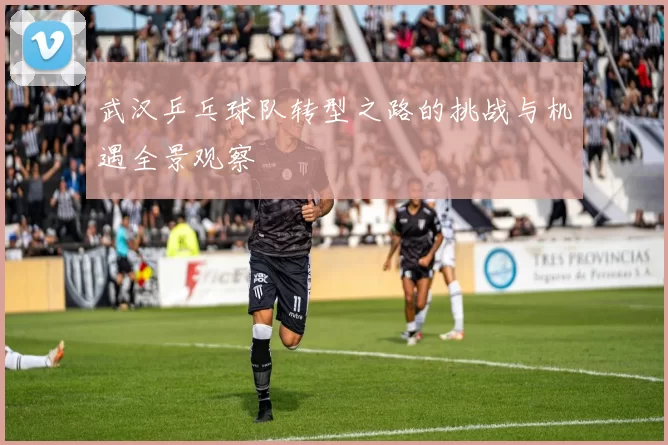 武汉乒乓球队转型之路的挑战与机遇全景观察