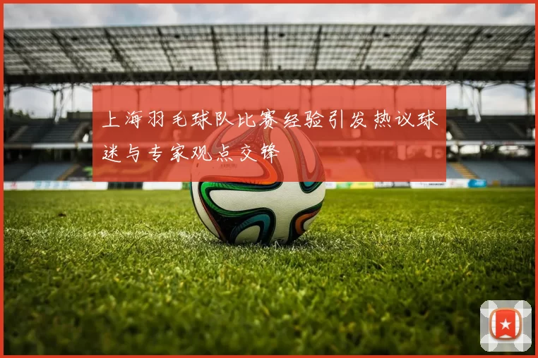 上海羽毛球队比赛经验引发热议球迷与专家观点交锋