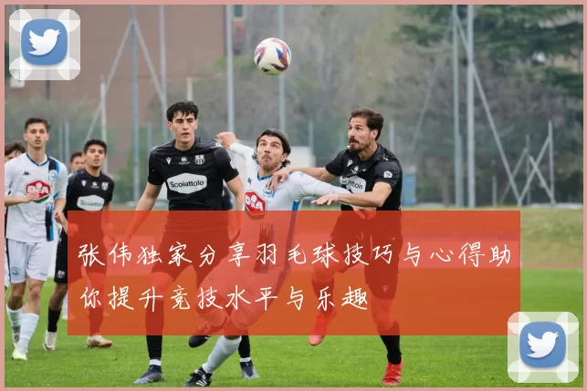 张伟独家分享羽毛球技巧与心得助你提升竞技水平与乐趣